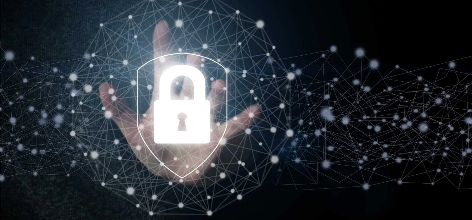 commercial IT security system